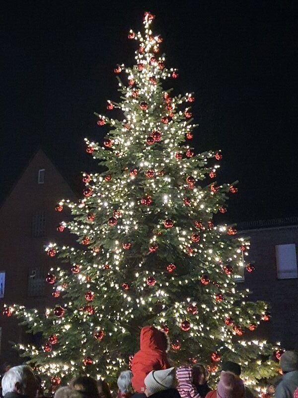 Bild vergrößern: Illumination Weihnachtsbaum