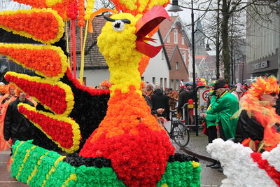Bild vergrößern: Carneval in Damme Umzug