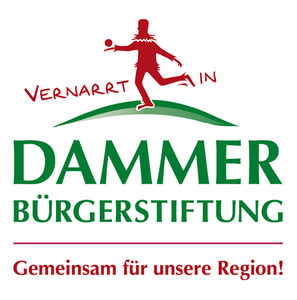 Bild vergrößern: Logo der Dammer Bürgerstiftung
